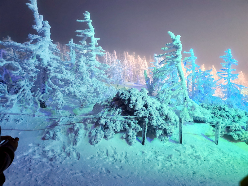 Trees like snow monsters, Mt. Zao